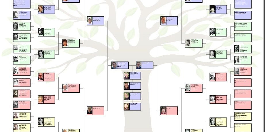 Genealogy Three1 Genealogy Three1